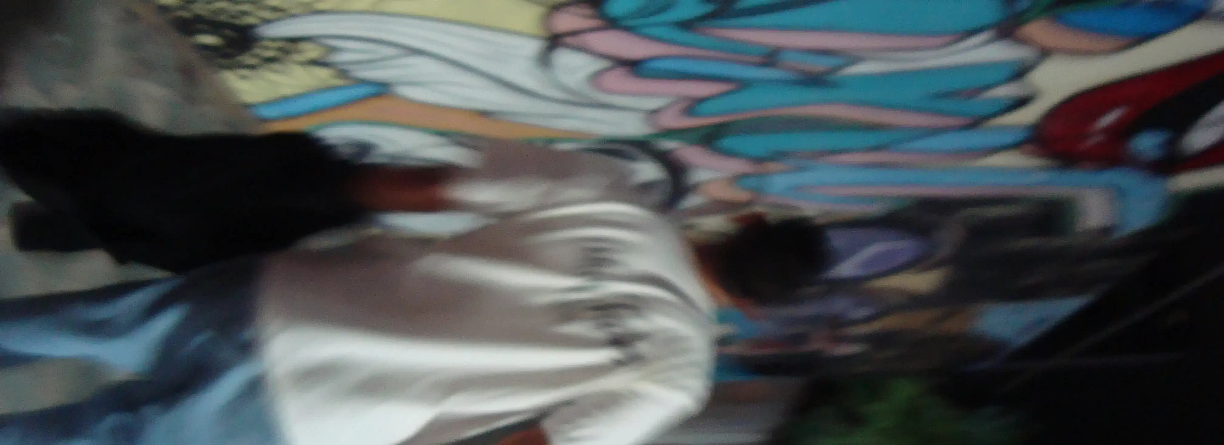 cover pic