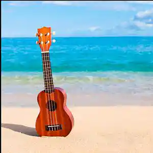 Song picture