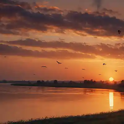 Picture for song 'Echoes' by artist 'Jojoinsanebeats.com'