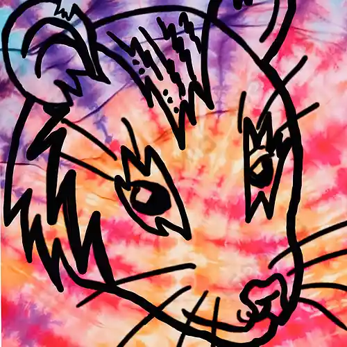 Artist picture