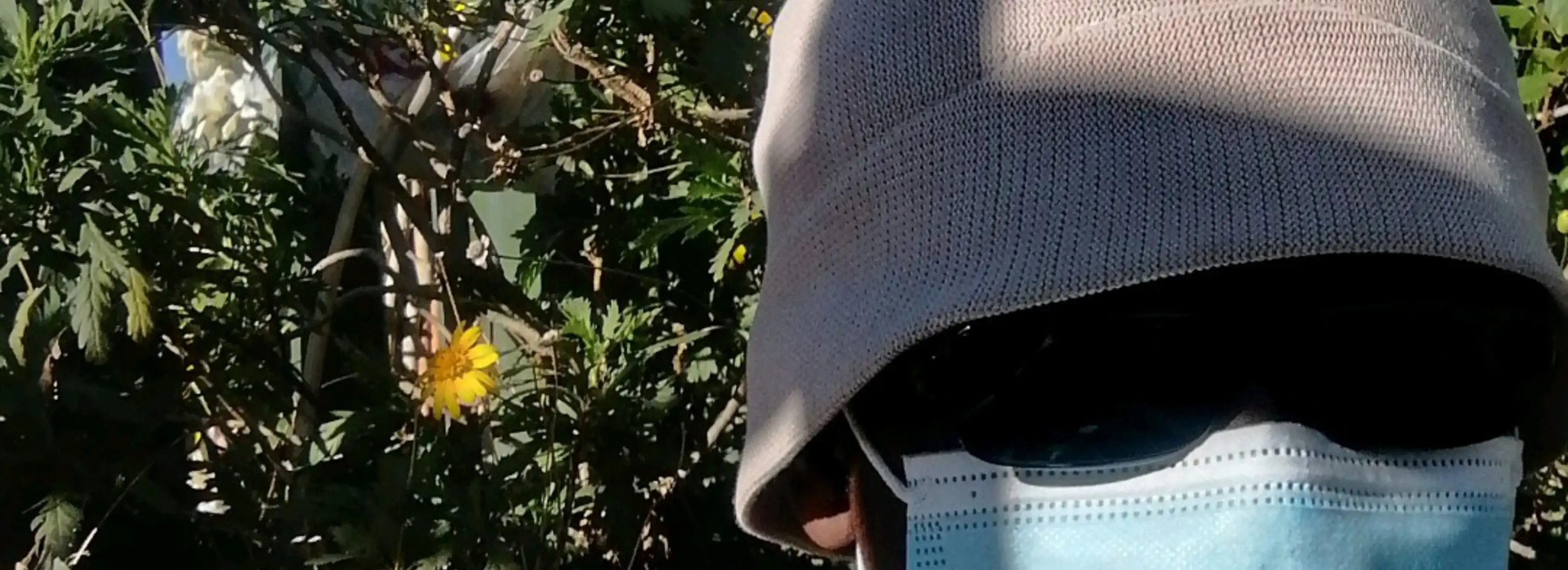 cover pic