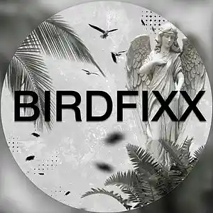 Picture for song 'Without U' by artist 'BIRDFIXX BEATZ'