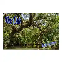 Picture for song 'The Oak' by artist 'Bob Forbes'