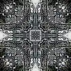 Picture for song 'Reflection' by artist 'Dig And Be Dug Beat Album'