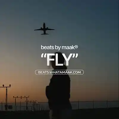 Picture for song 'Fly - 1 + 3 FREE! (Don Toliver Type Beat)' by artist 'maak'