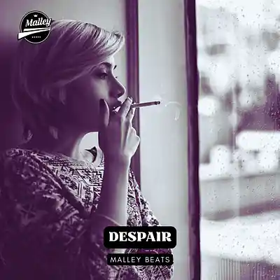 Picture for song 'DESPAIR [EMO GUITAR COUNTRY RAP TYPE BEAT]' by artist 'Malley Beats'