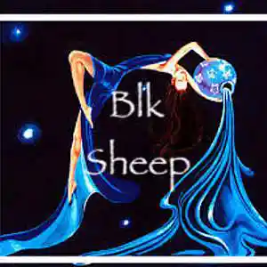 Picture for song 'Blk Sheep' by artist 'Queen Foxxiee'