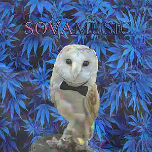 Picture for song 'sovamusic - skywar' by artist 'sovamusic'