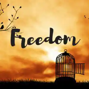 Picture for song 'Freedom.strifebeats' by artist 'StrifePeace'