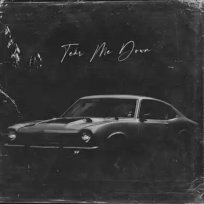 Picture for song 'Blues x R&B Type Beat - "Tear Me Down" (Two Feet)' by artist 'Vintage Luxury Beats'