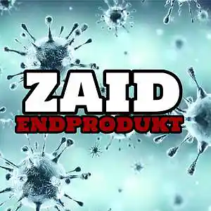 Picture for song 'ZaiD - Endprodukt' by artist 'ZP Music'