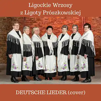 Picture for song 'Ich Schw&ouml;r' by artist 'Ligockie Wrzosy z Ligoty Proszkowskiej'