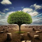 Picture for song 'Untill the End' by artist 'Acousticheart'