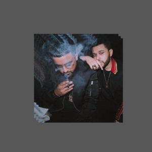 Picture for song 'Nav Type Beat 2022 - That Voice (Buy 1 Get 1 Free)' by artist 'beats by NTZ'