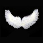 Picture for song '*SOLD* Learn To Fly (w/ Hook) ' by artist 'Ben Rushan'
