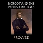 Picture for song 'Anymore' by artist 'Bigfoot and the Prehistoric Dogs'
