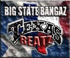 Picture for song 'GZS DONT DANCE-HOOKREADY = $ O L D' by artist 'BIG STATE BANGAZ'