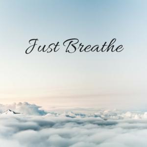 Picture for song 'Breathe (Instrumental)' by artist 'Denzlo'