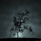 Picture for song 'Las cuerdas de las alma' by artist 'Dictates Of Reason'