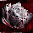 Picture for song 'Love, Drugs, Money, And Pain' by artist 'Dirigo'