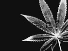 Picture for song 'hustlin is my nature.mp3' by artist 'FADED206'