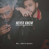 Picture for song 'Never Know (FREE DL)' by artist 'Forrest Beats'