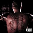 Picture for song 'EP_Productions_Feel_It_Feat_Nas' by artist 'Free Beats for Mixtapes Promotional Use Only'