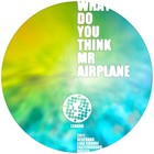 Picture for song 'What Do You Think Mr Airplane' by artist 'Gedevaan'