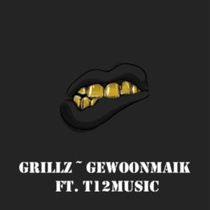 Picture for song 'Grillz' by artist 'gewoonmaik'