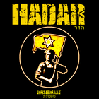 Picture for song 'Barzel Shalem' by artist 'HADAR'