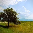 Picture for song 'Rob Hawk - Winds Have Changed' by artist 'Hotshot Rocket'