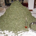 Picture for song 'NEW TRACK* 750 (prod.by -Xclusive.iBoy)' by artist 'iBoyMusic'