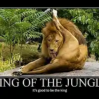 Picture for song 'It's Good To Be The King' by artist 'In A Cage'
