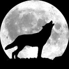 Picture for song 'full moon force' by artist 'JamJuice'