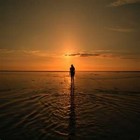 Picture for song 'Don't Leave Me Lonely' by artist 'Lyrical Krack'