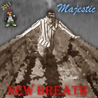 Picture for song 'Majestic - White December' by artist 'Majestic (LT)'