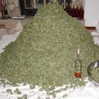 Picture for song 'JBxLOUDPACK(FREEDL!2011)' by artist 'Major League Pro'