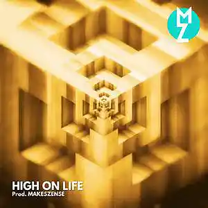 Picture for song 'High On Life' by artist 'MAKESZENSE'