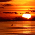 Picture for song '*NEW* Sunset (Free DL)' by artist 'MatrioshkaProductions'
