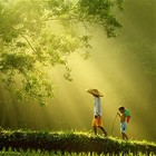 Picture for song 'The Journey (Theme, WIP)' by artist 'Max Qubit'