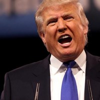 Picture for song 'Hate Trump (Rap Beat)' by artist 'Mozart Jones Productions (Mozarts Beats)'