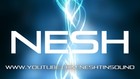 Picture for song 'Nesh / NeshTinSound - Sehnsucht.MP3' by artist 'NeshTinSound'