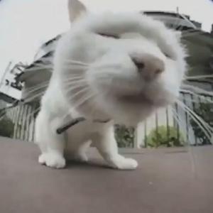 Picture for song 'USTAWKA - Pyrex Whippa x Future x Travis Scott' by artist 'nolyrics music group'