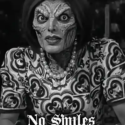 Picture for song 'FOLLOWED BY GANGSTALKING RETARDS' by artist 'No Smiles'