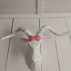 Picture for song 'Love And Litter: Mary Street House Session' by artist 'paul gorman and the hypnotist collectors'