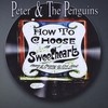 Picture for song 'She Took Me By Surprise' by artist 'Peter and the Penguins'