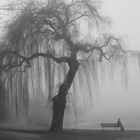 Picture for song 'Mournful Silence' by artist 'Sebastian Breitenbach'