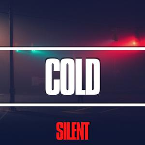 Picture for song 'COLD' by artist 'Silent The Producer'