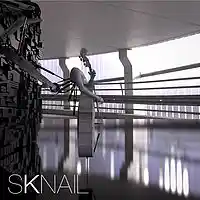 Picture for song 'Suspended' by artist 'SKNAIL'