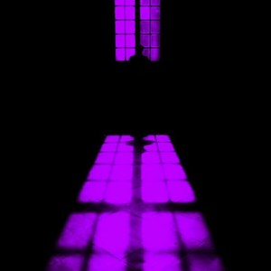 Picture for song 'Rising Height' by artist 'SLYRAX'